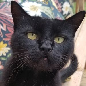 Meet your Posher, Sydni